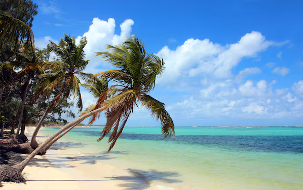 Bavaro Beach near Dreams Onyx Resort & Spa with iconic palm-lined shores and turquoise Caribbean waters